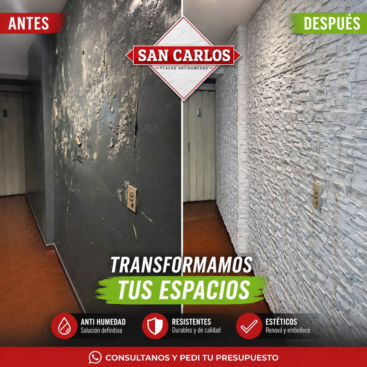 Antes y después Placas San Carlos — transformación de pared con humedad